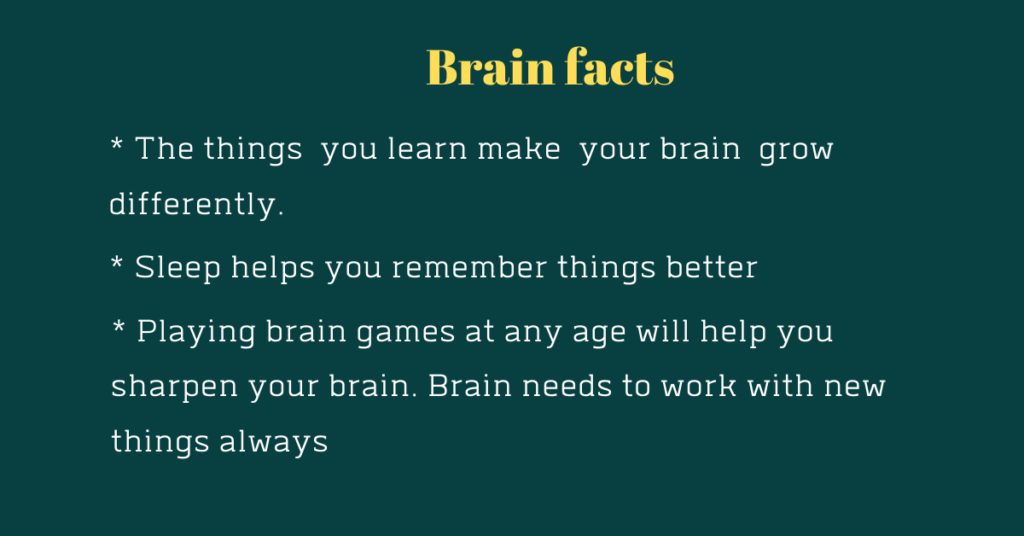 interesting brain facts for online learning